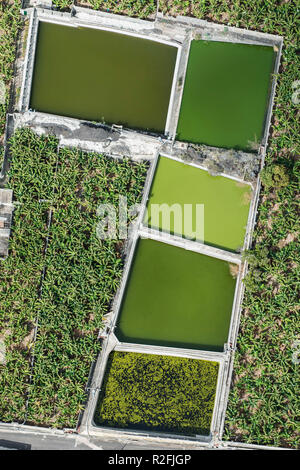 Color play in the water tanks of the banana plantations in Puerto Naos, La Palma, aerial, Canary Islands, Spain Stock Photo