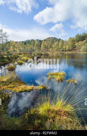 Coire loch on the viewpoint trail in Glen Affric, Highlands, Scotland. Stock Photo