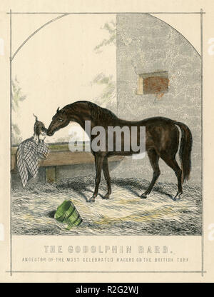 The Godolphin Arabian - Hall of Fame