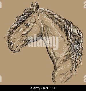 Friesian horse portrait. Horse head with long mane in profile in black and white colors isolated on beige background. Vector hand drawing illustration Stock Vector