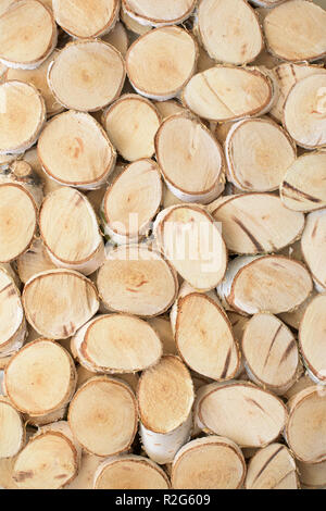Lot of white birch slices, decorated in a wall Stock Photo