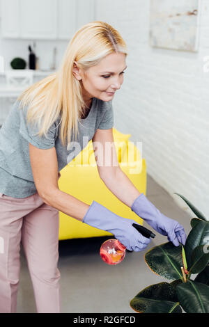 attractive mature woman in gloves spraying green leaves Stock Photo