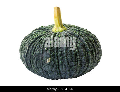 Young Kabocha squash fruit isolated on white background and clipping path Stock Photo