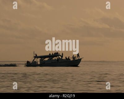 Sunset dolphin cruise from Meeru Island, Maldives Stock Photo