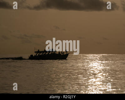 Sunset dolphin cruise from Meeru Island, Maldives Stock Photo