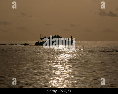 Sunset dolphin cruise from Meeru Island, Maldives Stock Photo