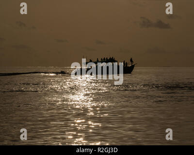 Sunset dolphin cruise from Meeru Island, Maldives Stock Photo