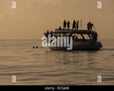 Sunset dolphin cruise from Meeru Island, Maldives Stock Photo