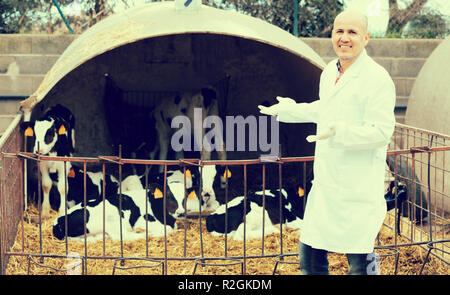 Elderly specialist standing near calves barn in livestock farm Stock Photo