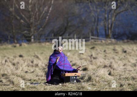 Frank Year : 2014 UK / USA / Ireland Director : Lenny Abrahamson Maggie Gyllenhaal Stock Photo