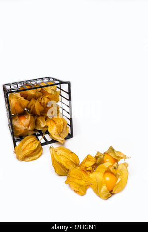 Physalis group closeup isolated on white background in black box basket Stock Photo