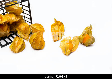 Physalis group closeup isolated on white background in black box basket Stock Photo