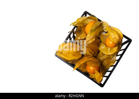 Physalis group in basket closeup isolated on white background. Stock Photo