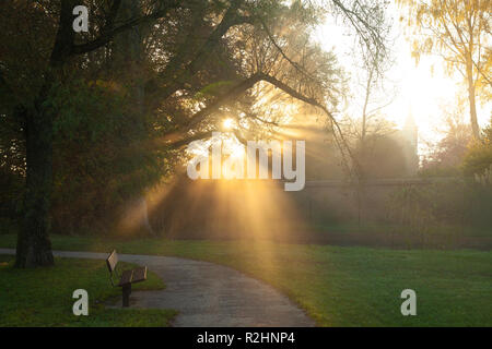 Sunlight Streaming Through Trees In Elizabeth Gardens Salisbury Wiltshire. Stock Photo