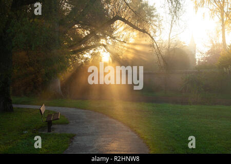 Sunlight Streaming Through Trees In Elizabeth Gardens Salisbury Wiltshire. Stock Photo