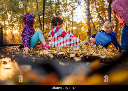 Three children and their father playing on a trampoline covered in autumn leaves, United States Stock Photo