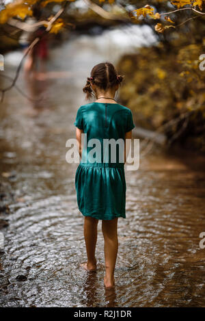 Girl walking in a woodland creek, United States Stock Photo