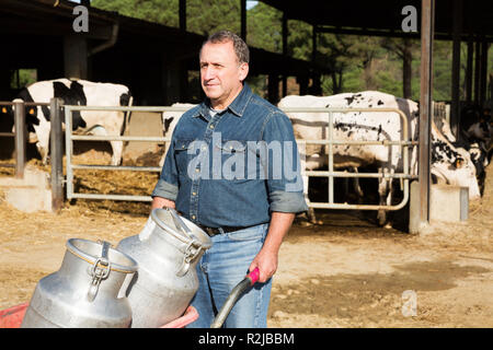 Senior man farmer working on dairy farm, carrying milk cans on cart Stock Photo