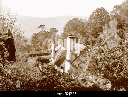 A sepia toned photograph taken on a paper negative in a 7 x 5 inch plate camera in October 2018 of  thatched cottages on Selworthy Green on Exmoor Stock Photo