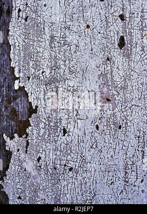 Background of white, peeling paint on an old wall. Stock Photo