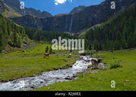 Austria, Tyrol, Oberinntal, Stalanzer Alm near Ried Stock Photo
