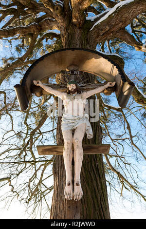 large wayside cross under a giant tree, Upper Bavaria, Bavaria, Germany, Europe Stock Photo