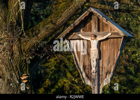 weathered Jesus figure hanging on a wayside cross under a tree, Upper Bavaria, Bavaria, Germany, Europe Stock Photo