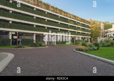 garden and parking lot at the back yard of cafe in Rotterdam in the morning Stock Photo