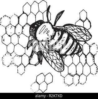 Black and white illustration of a bee on honey comb. Stock Vector