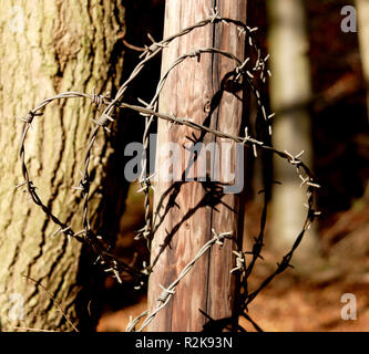 heart of wire Stock Photo