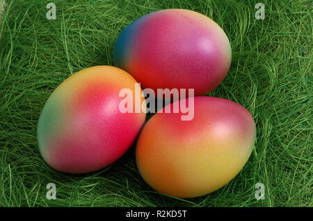three colorful easter eggs in nest Stock Photo