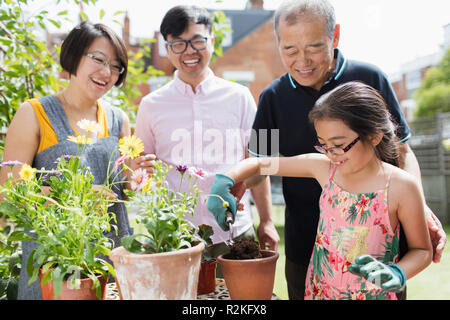 Multi-generation family gardening, potting flowers in sunny yard Stock Photo