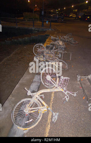 ofo collection