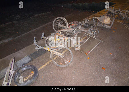 ofo collection