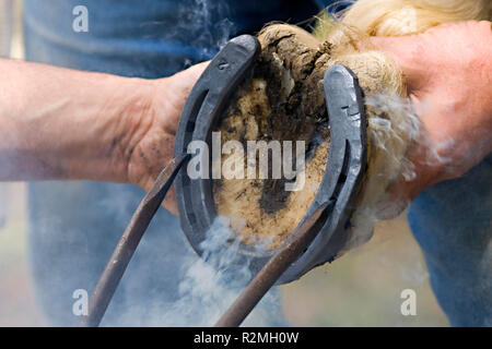 when hufschmied5 Stock Photo
