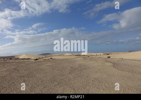 Low sun late afternoon,showing textures and patterns in the sand in the natural park,Corralejo,Fuerteventura,Canary-Islands,Spain. Stock Photo