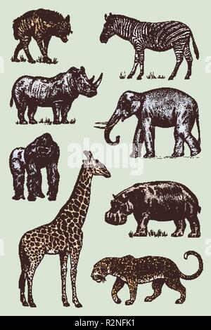 wild ostrich and gazelle animals nature icons vector illustration ...