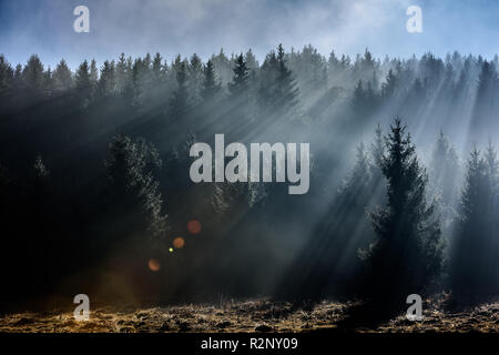 Fog divided by sun rays. Misty morning view in wet mountain area. Stock Photo