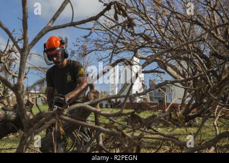 Sgt. Matthew Demos, a drafter surveyor attached to Combat Logistics Battalion 31, chainsaws a fallen tree at the veteran’s memorial during U.S. Defense Support of Civil Authorities relief efforts on Tinian, Commonwealth of the Northern Mariana Islands, Nov. 4, 2018. Demos, a native of Wildwood, Illinois, graduated from Warren Township High School in August 2012 before enlisting in September the same year. Businesses, government buildings, homes and schools were heavily damaged by Super Typhoon Yutu, which made a direct hit with devastating effect on Tinian Oct. 25 packing 170 MPH winds – it is Stock Photo