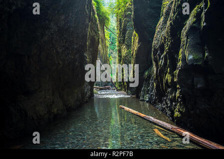 The trail through Oneonta Gorge en route to Oneonta Falls in Multnomah County in Oregon. Stock Photo