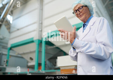 Senior Manager at Factory Stock Photo