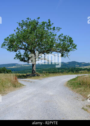 Europe, Germany, Hesse, Rhön, Rhön Biosphere Reserve, Ice formation in ...