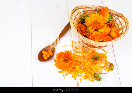 Medical preparations based on medicinal herbs. Flowers of calendula marigold. Studio Photo Stock Photo