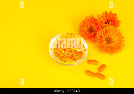 Medical preparations based on medicinal herbs. Flowers of calendula marigold. Studio Photo Stock Photo