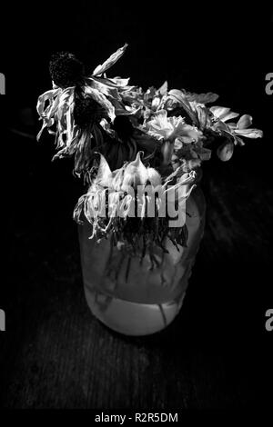 Old wilted summer flowers in a glass mason jar with dark moody lighting Stock Photo