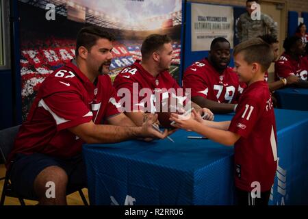 Arizona Cardinals Salute to Service > Luke Air Force Base > Article Display