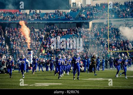 The Buffalo Bills take to the field before the start of the NFL s annual Salute to