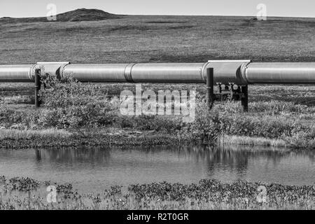 A view of the Trans-Alaska Pipeline across the tundra in Alaska, USA Stock Photo