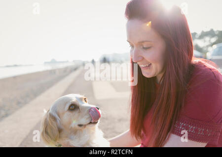 Woman with cute dog on sunny beach boardwalk Stock Photo