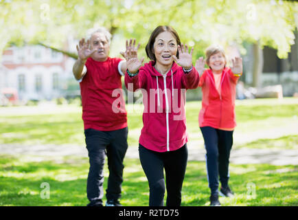 Active seniors practicing tai chi in park Stock Photo